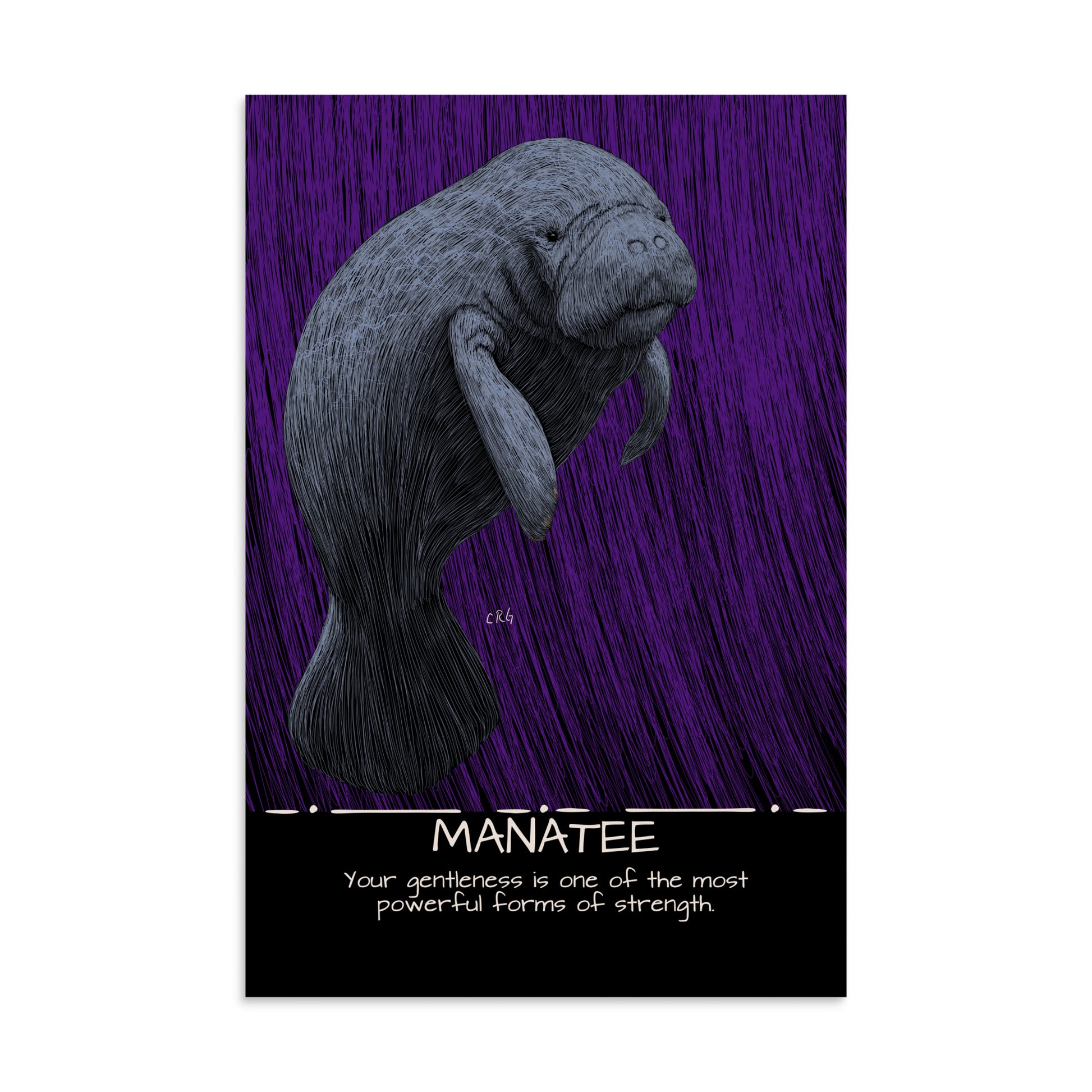 Manatee Art Print