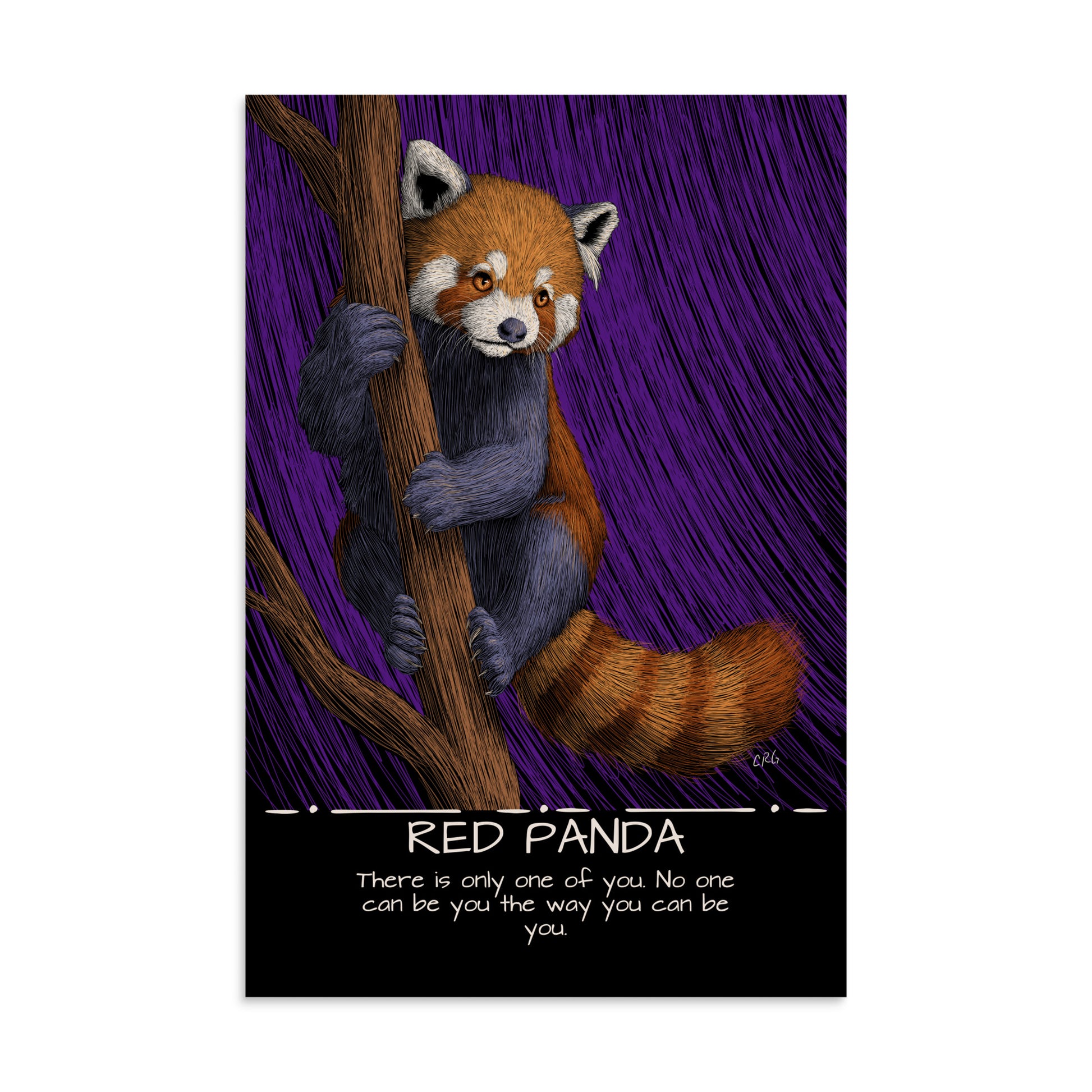 Red Panda Art Print
