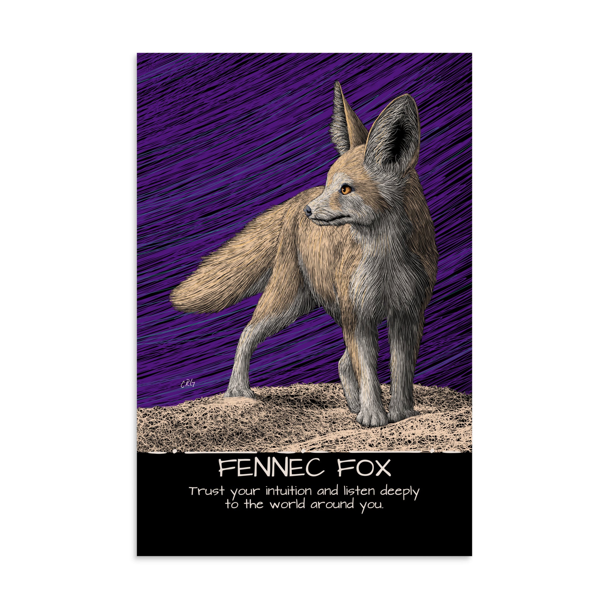 Fennec Fox Art Print