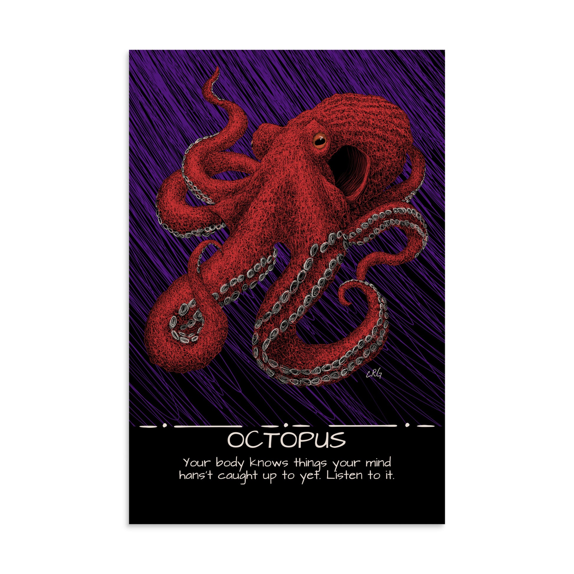 Octopus Art Print