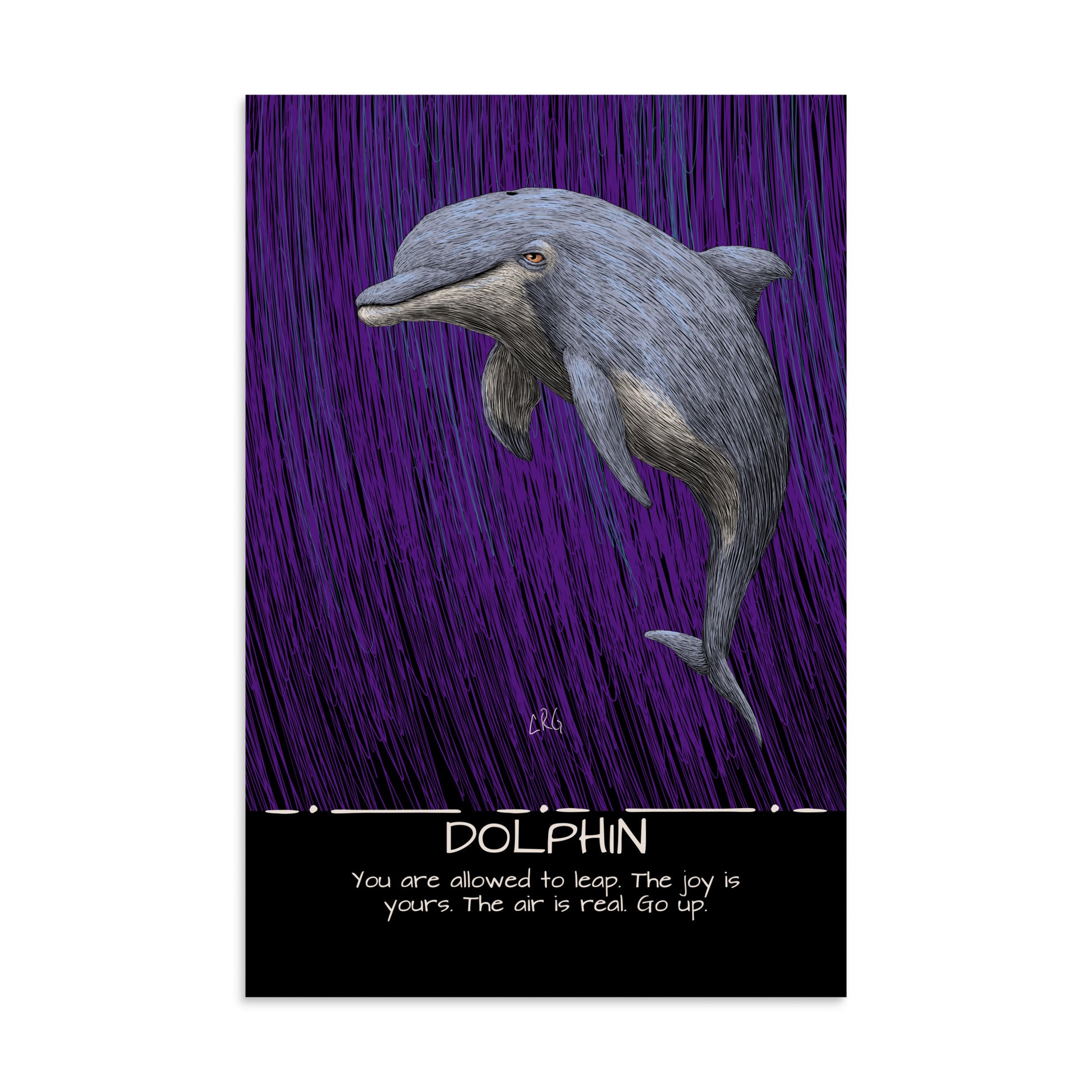 Dolphin Art Print