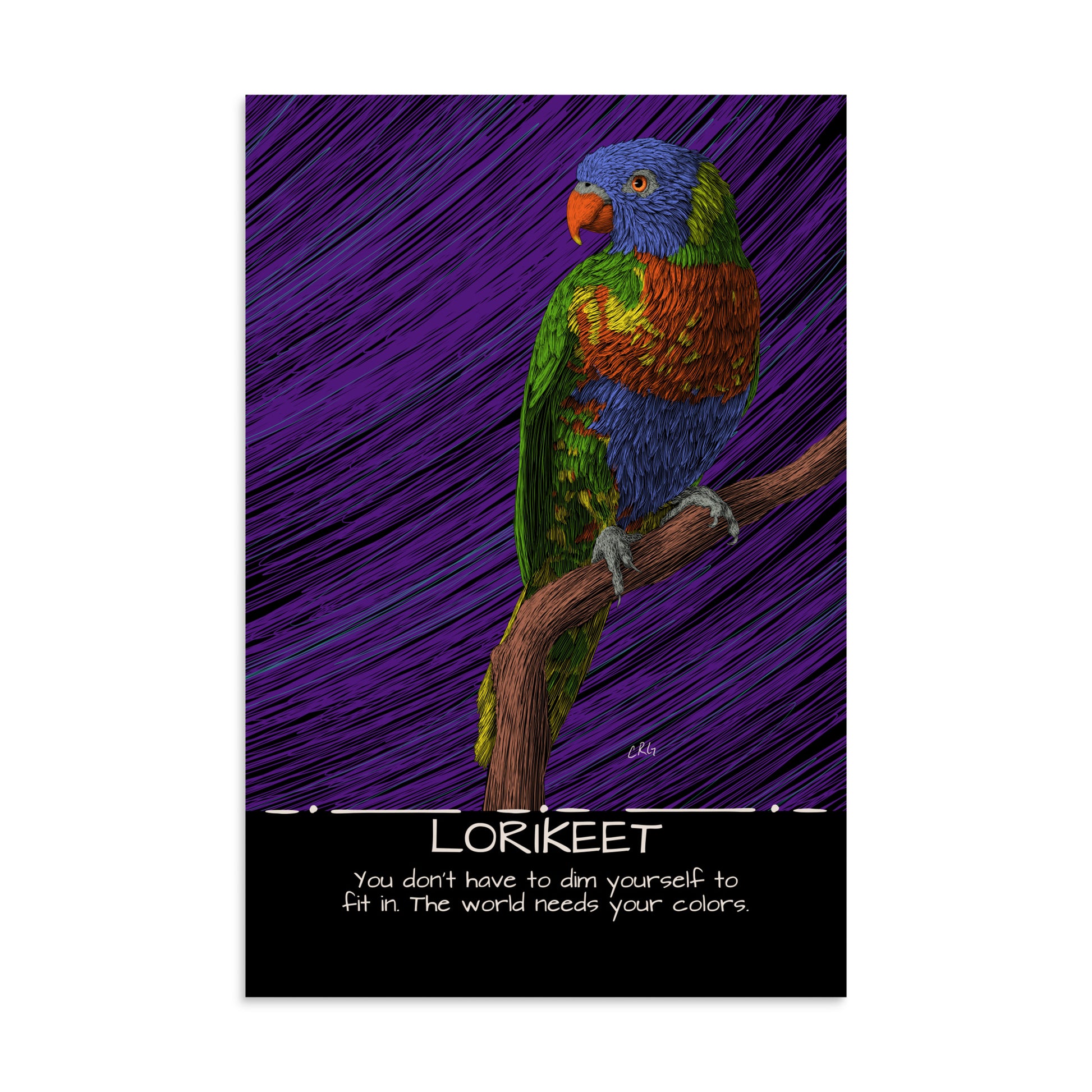 Lorikeet Art Print