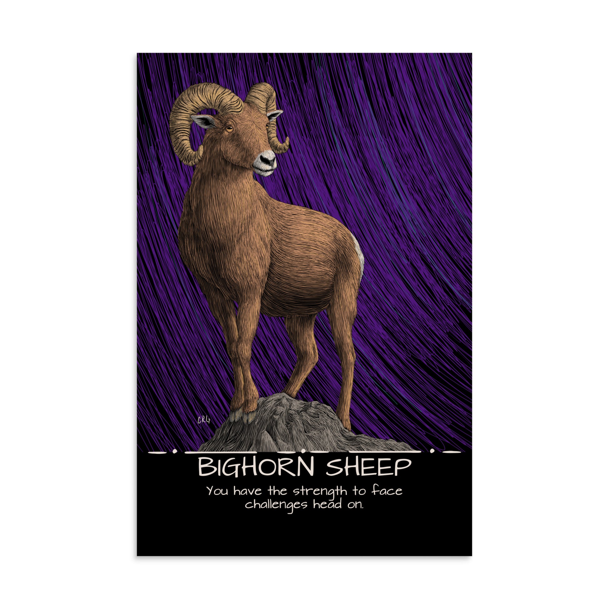 Bighorn Sheep Art Print