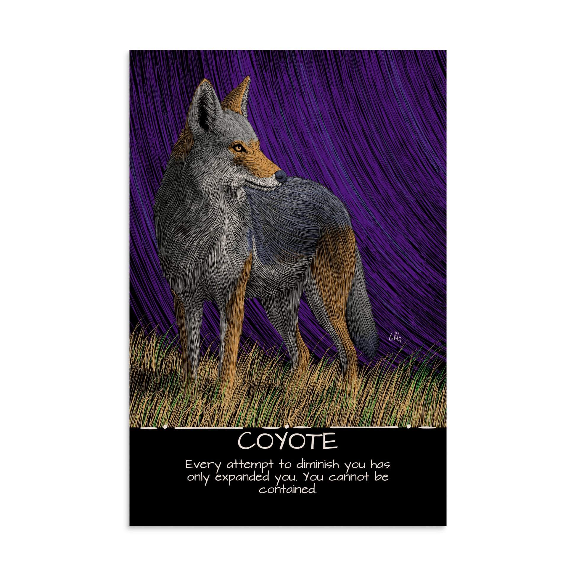 Coyote Art Print