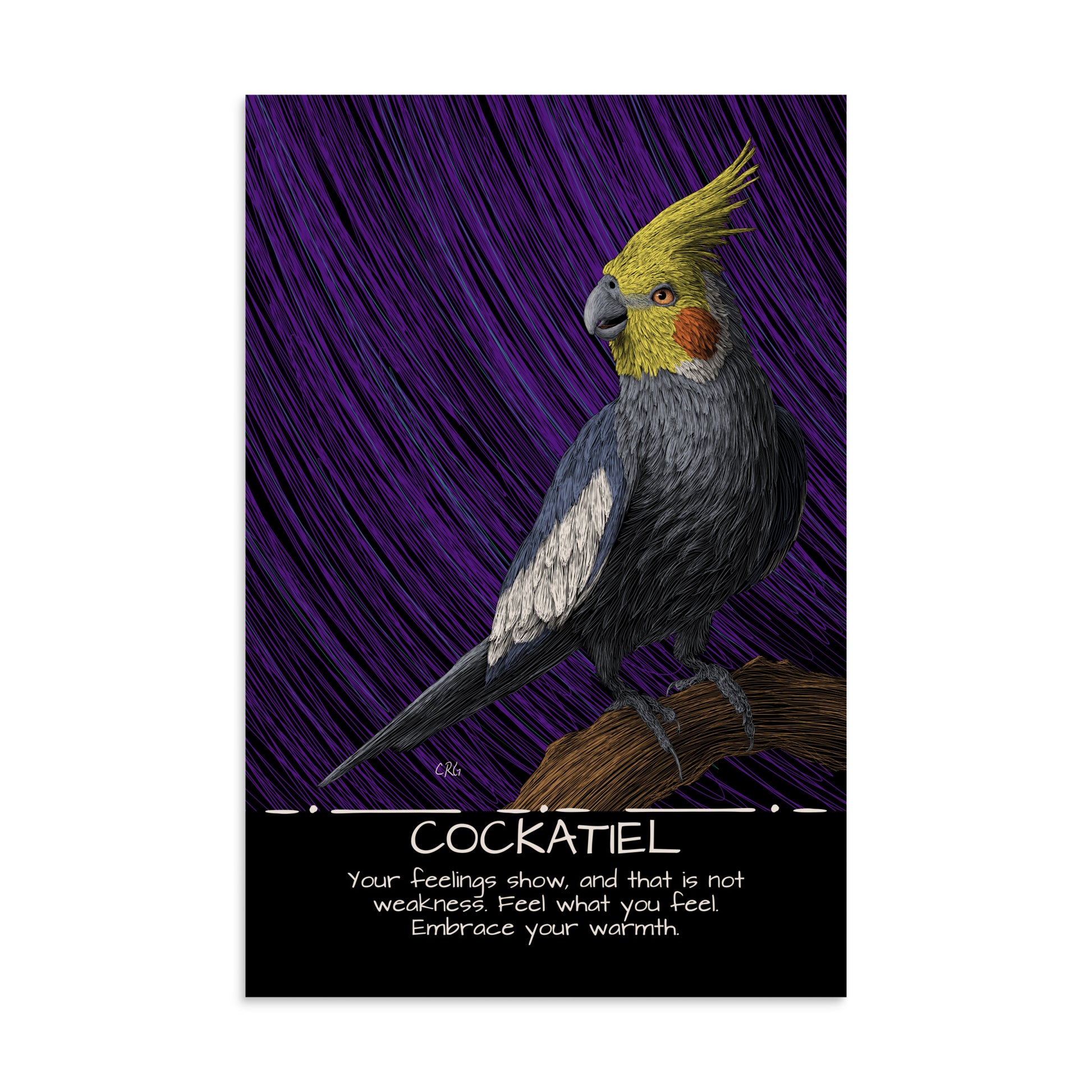 Cockatiel Art Print