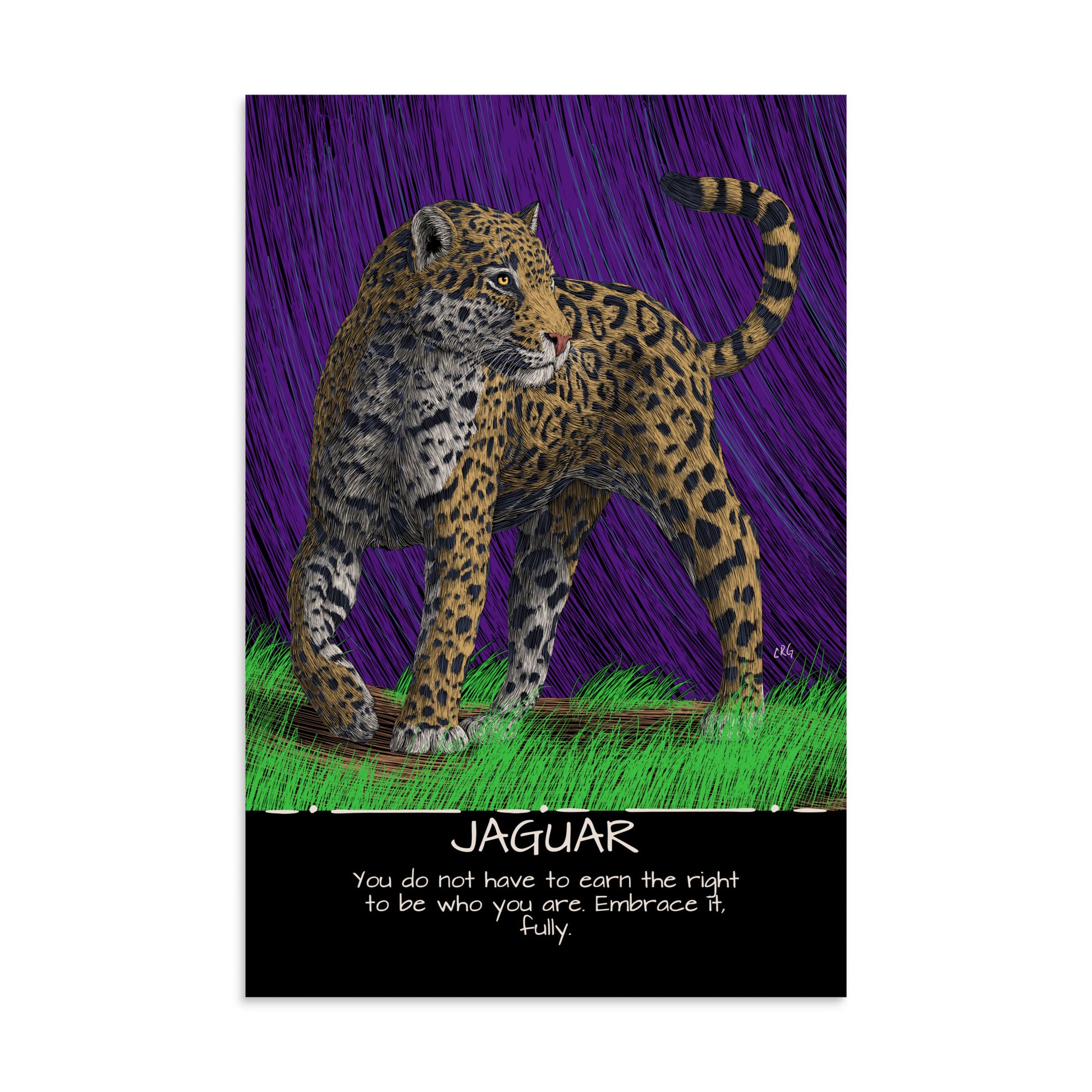 Jaguar Art Print