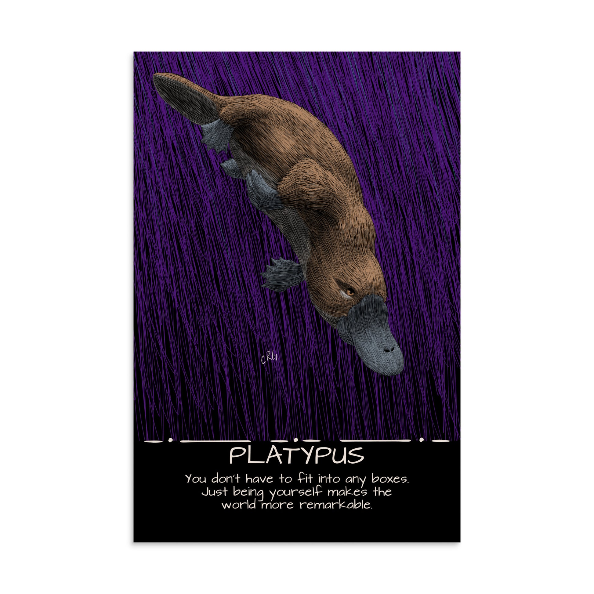 Platypus Art Print