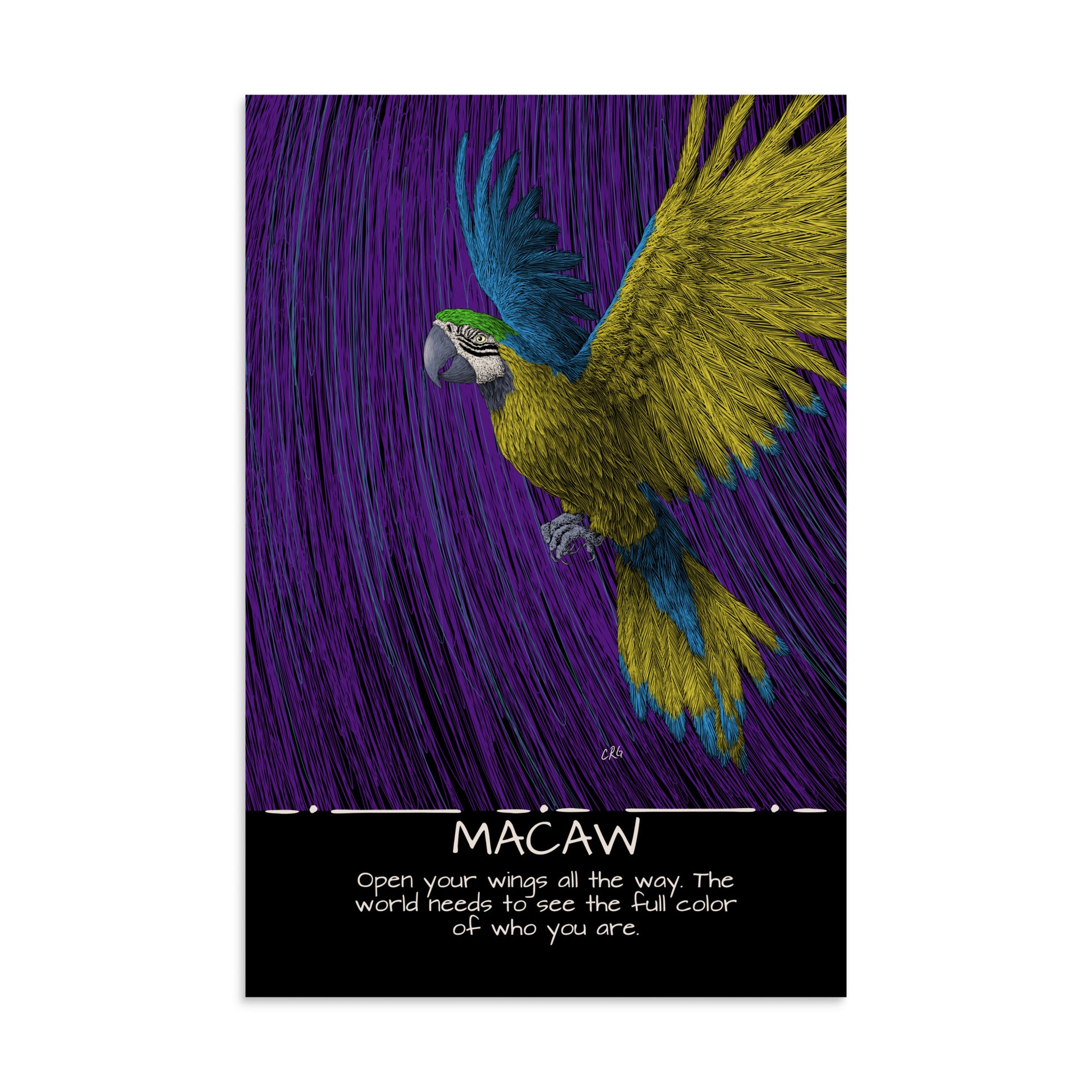 Macaw Art Print