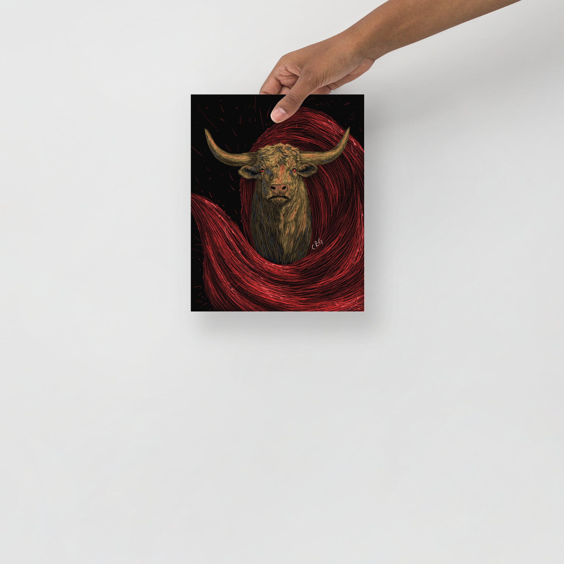 The Matador Art Print