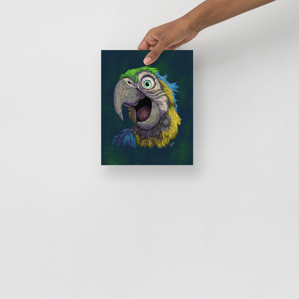 Blue and Gold Macaw Art Print