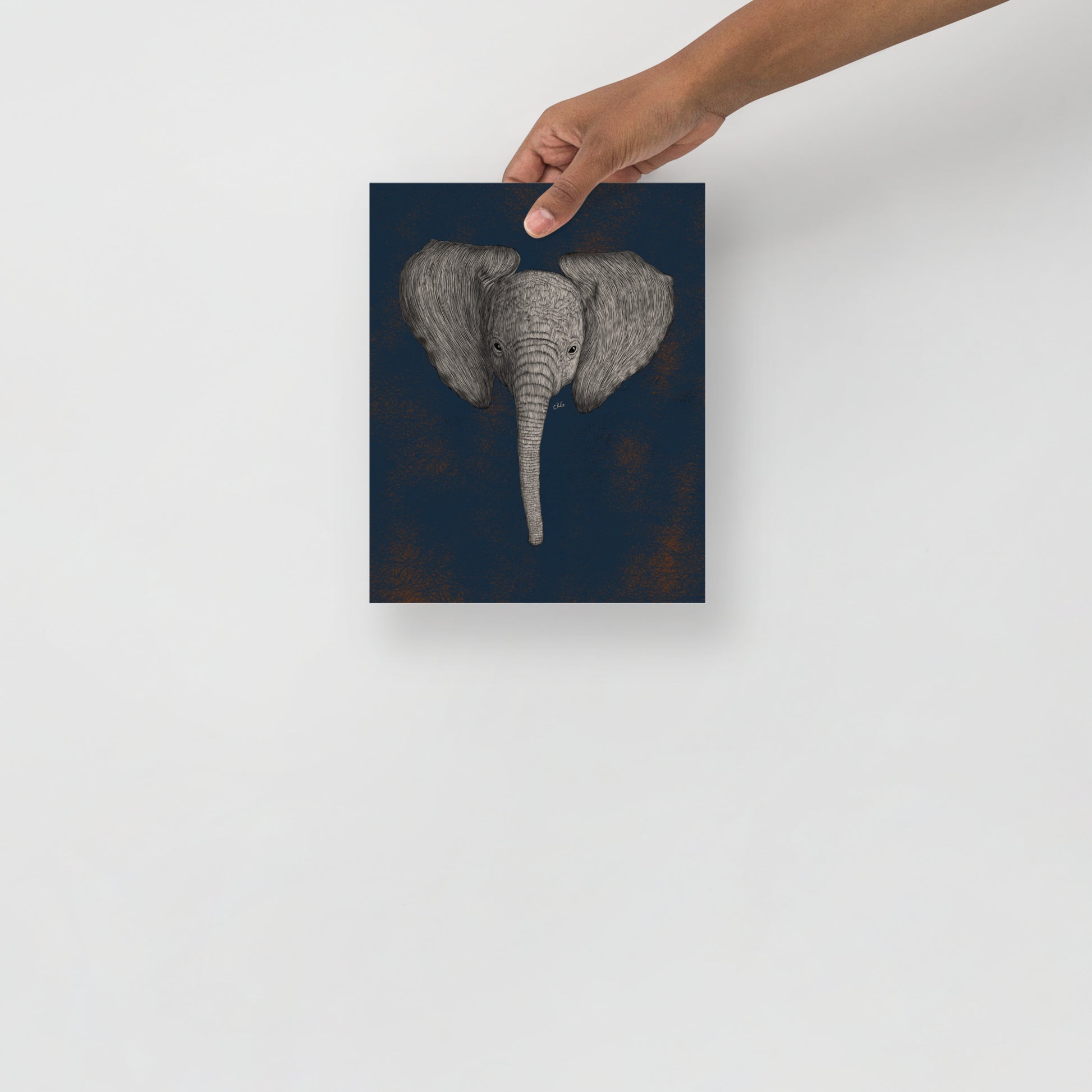 Baby African Elephant Art Print