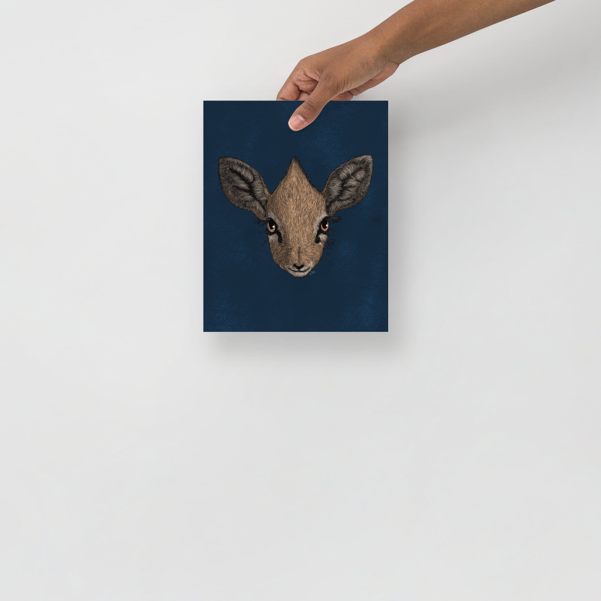 Dik-Dik Art Print