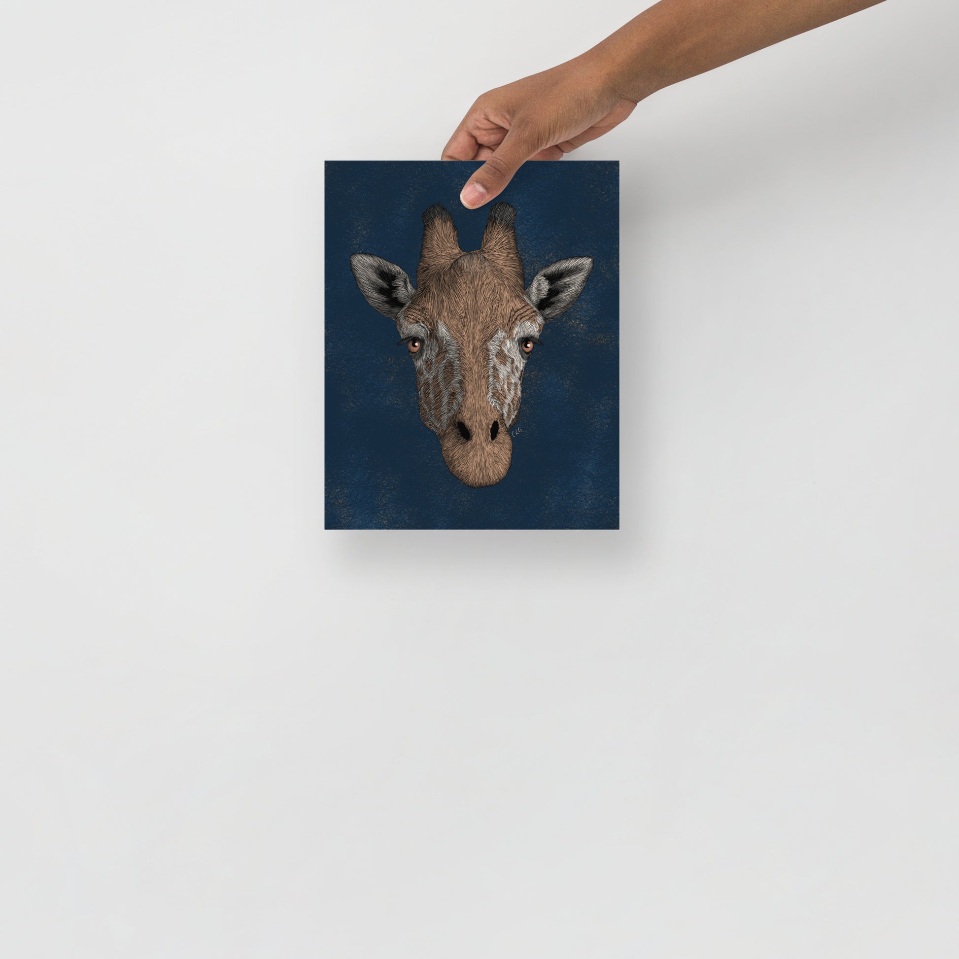 Giraffe Art Print