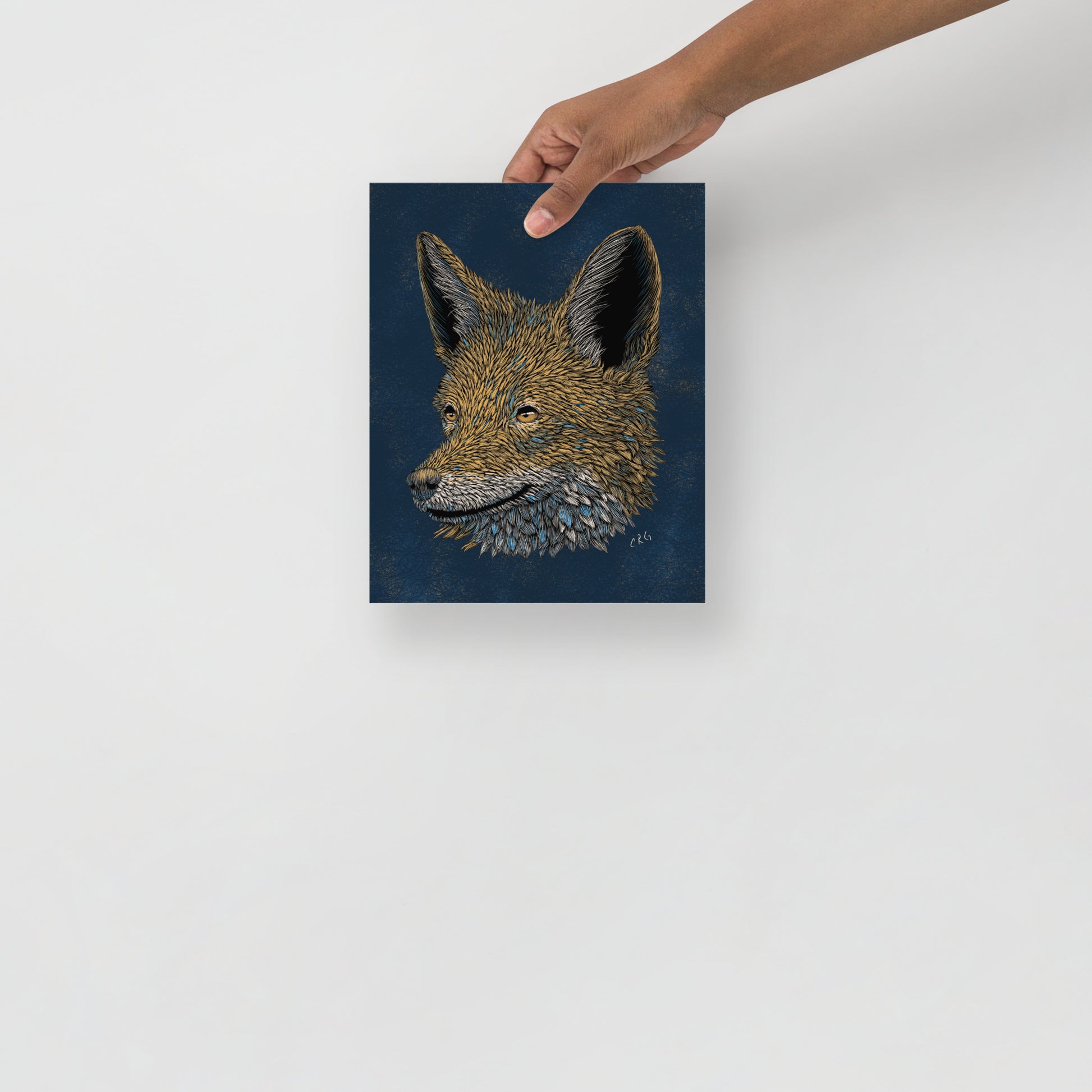 Stylized Jackal Art Print