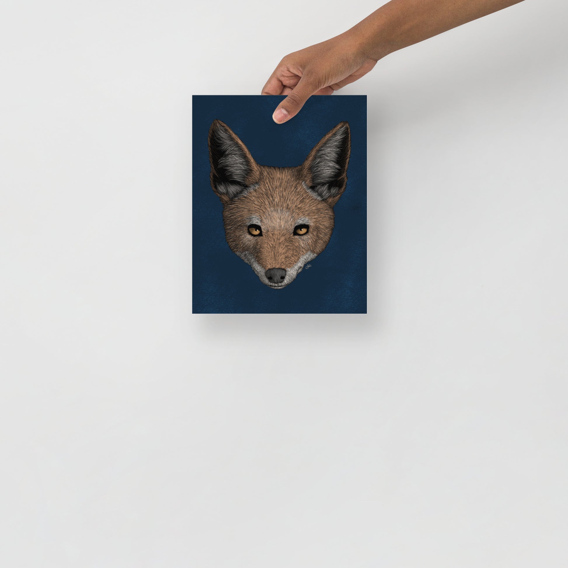 Jackal Art Print