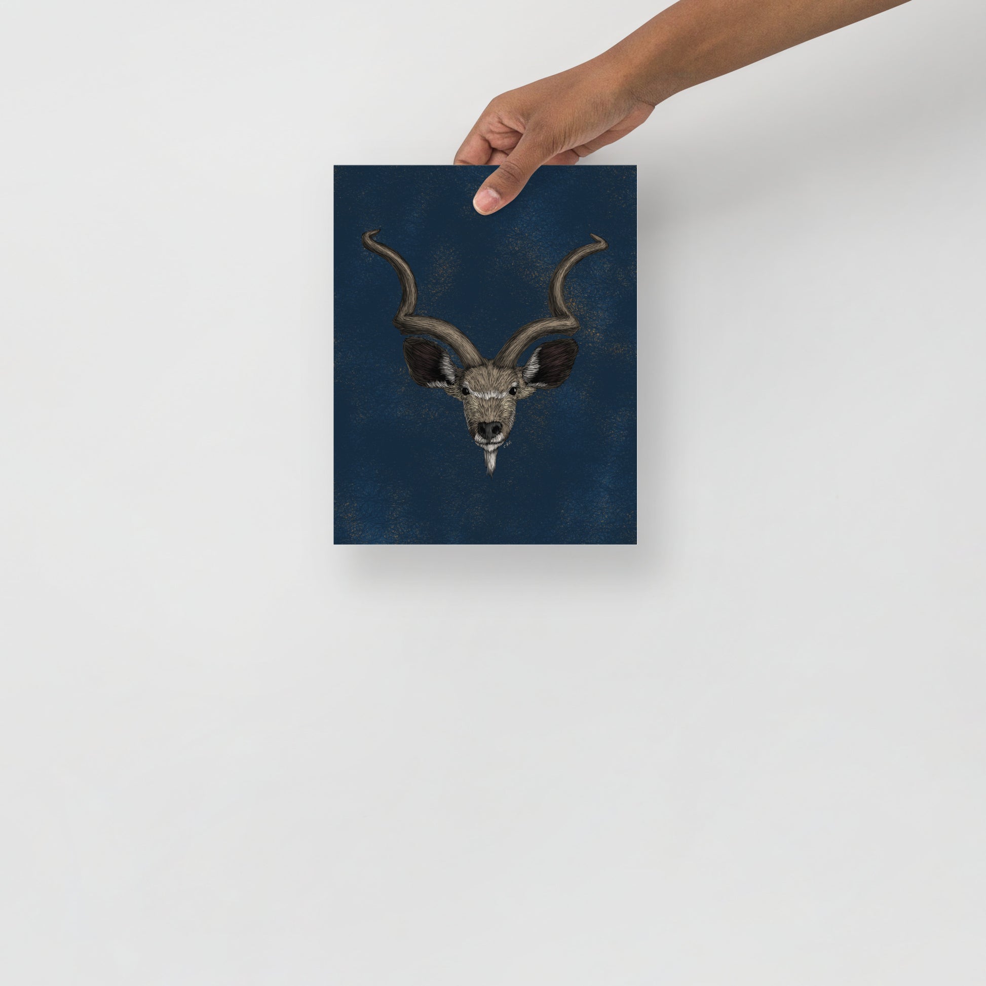 Kudu Art Print