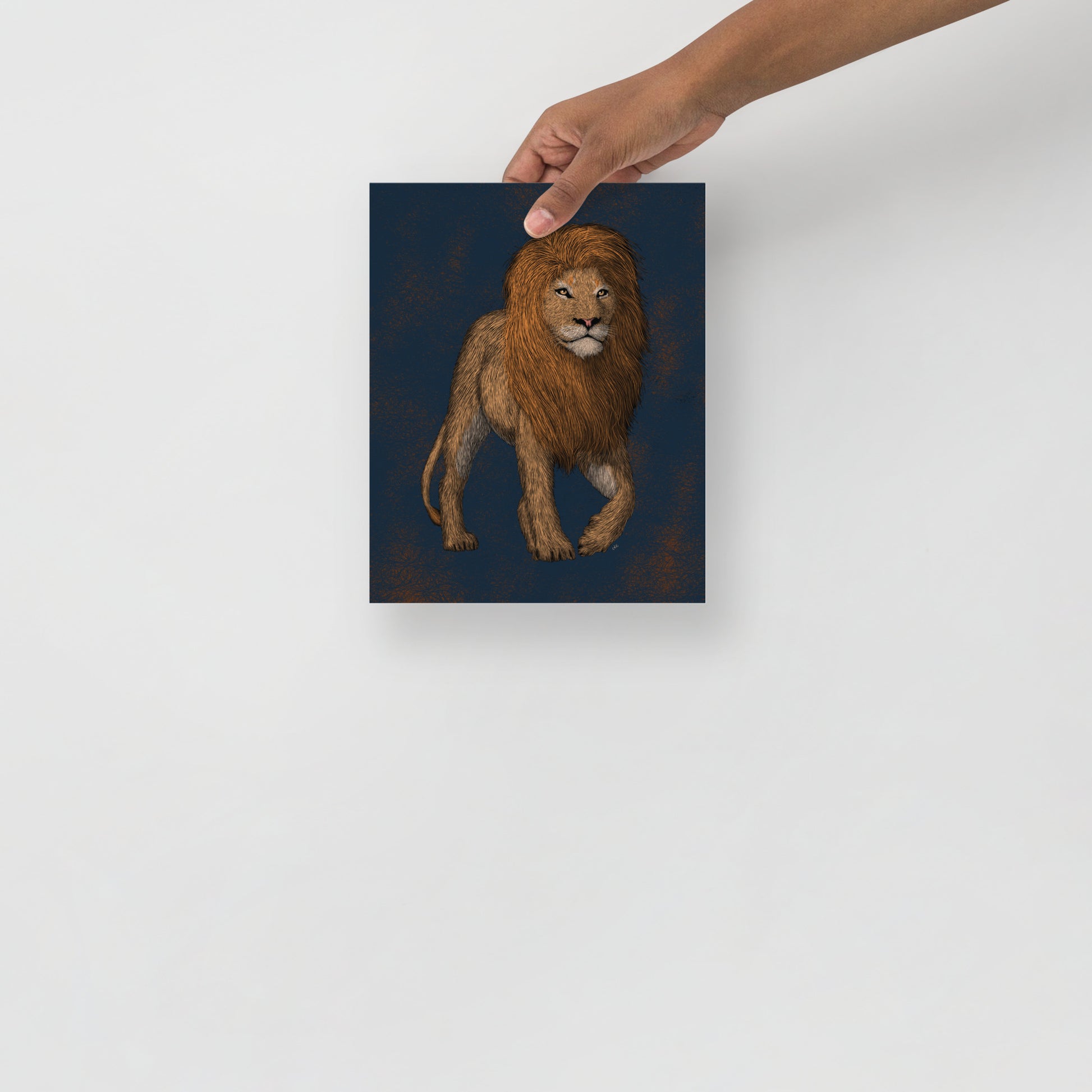 Lion Art Print