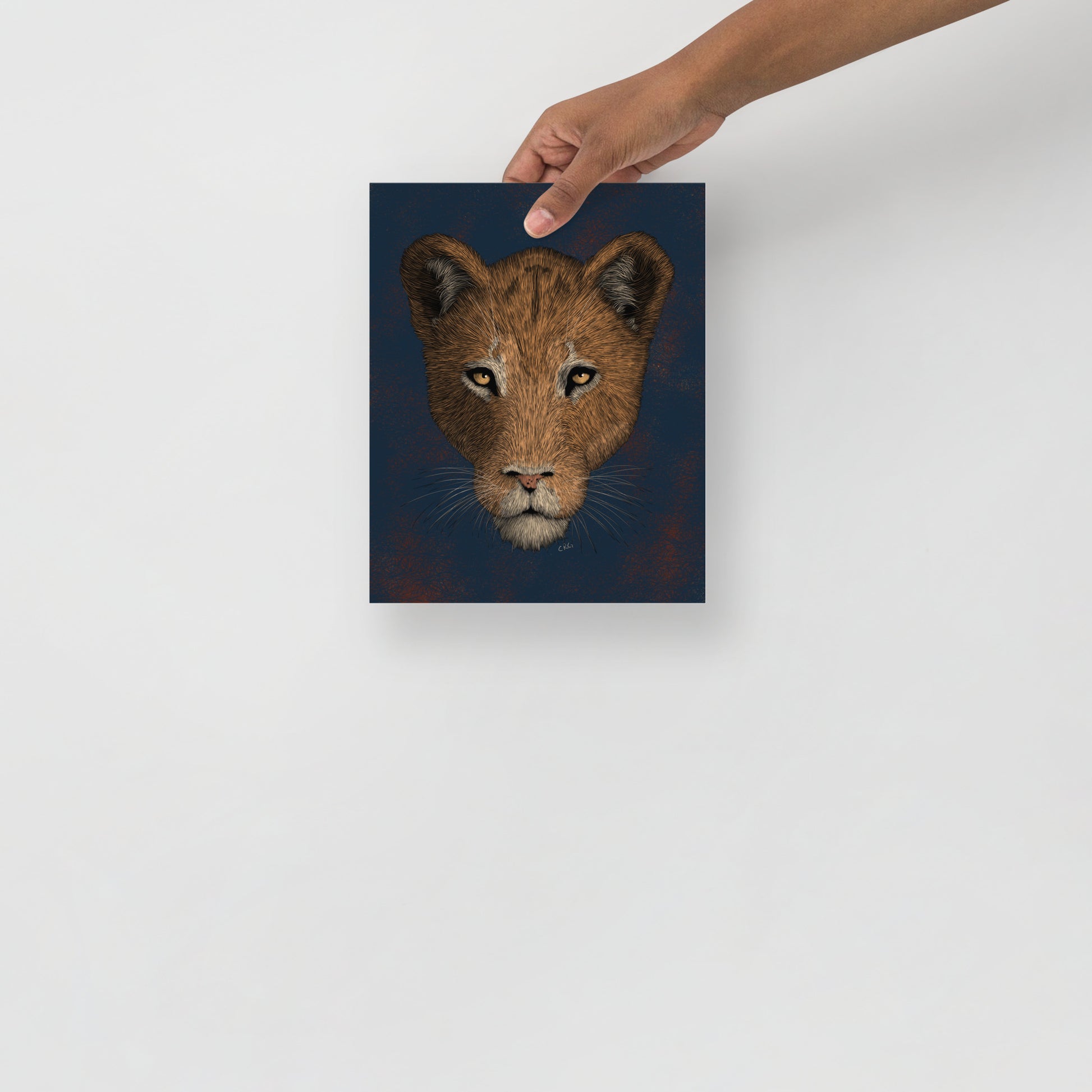 Lioness Art Print