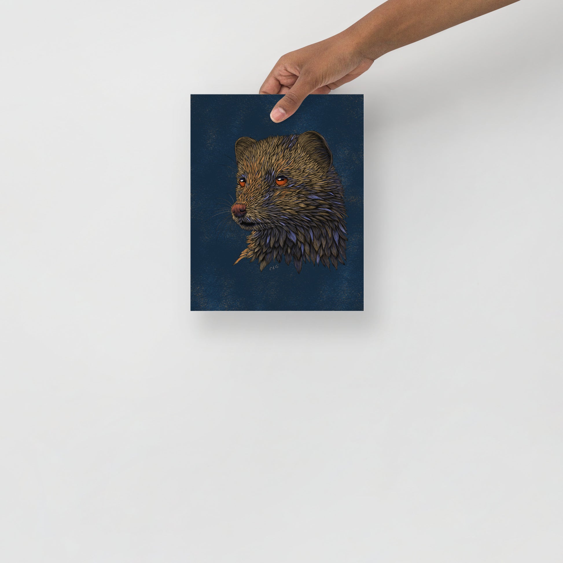 Mongoose Art Print
