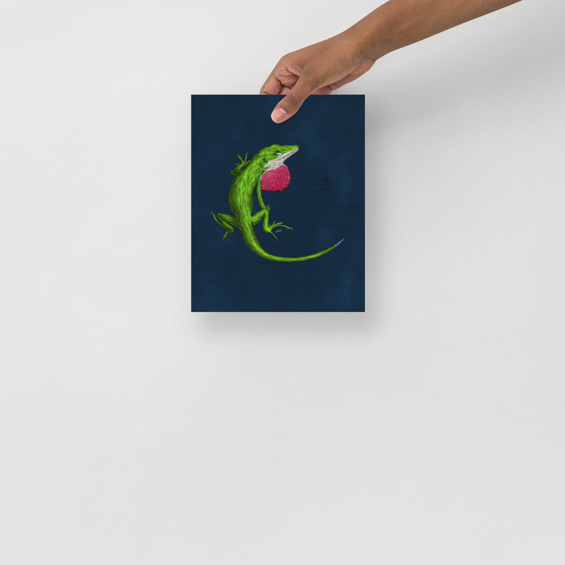 Anole Art Print