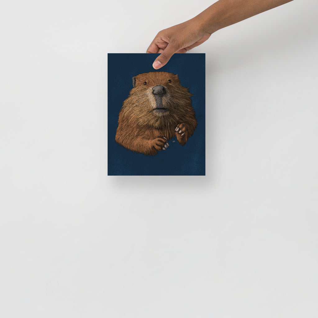 Beaver Art Print