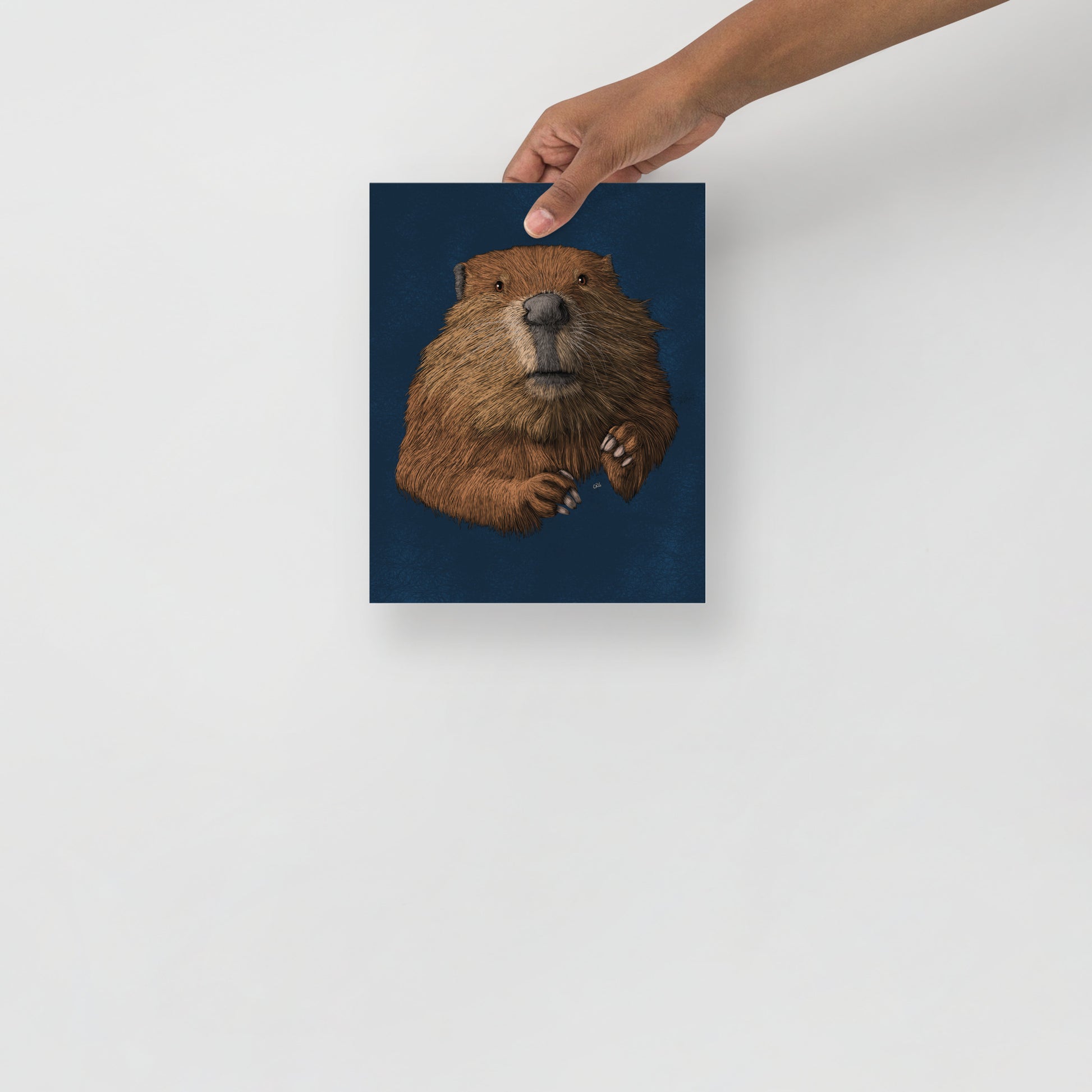 Beaver Art Print