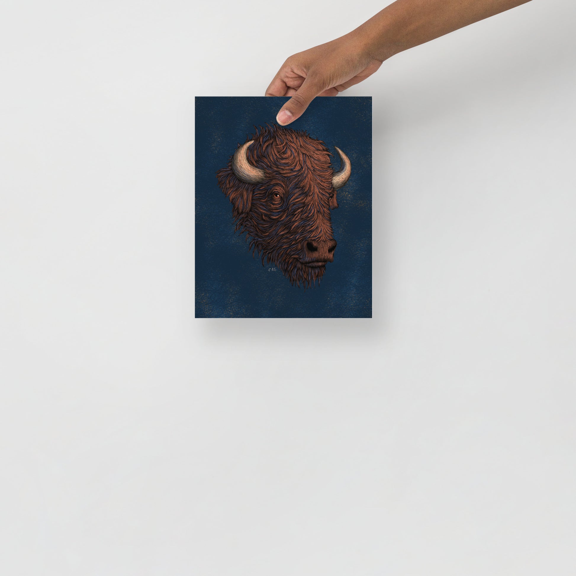 Stylized Bison Art Print