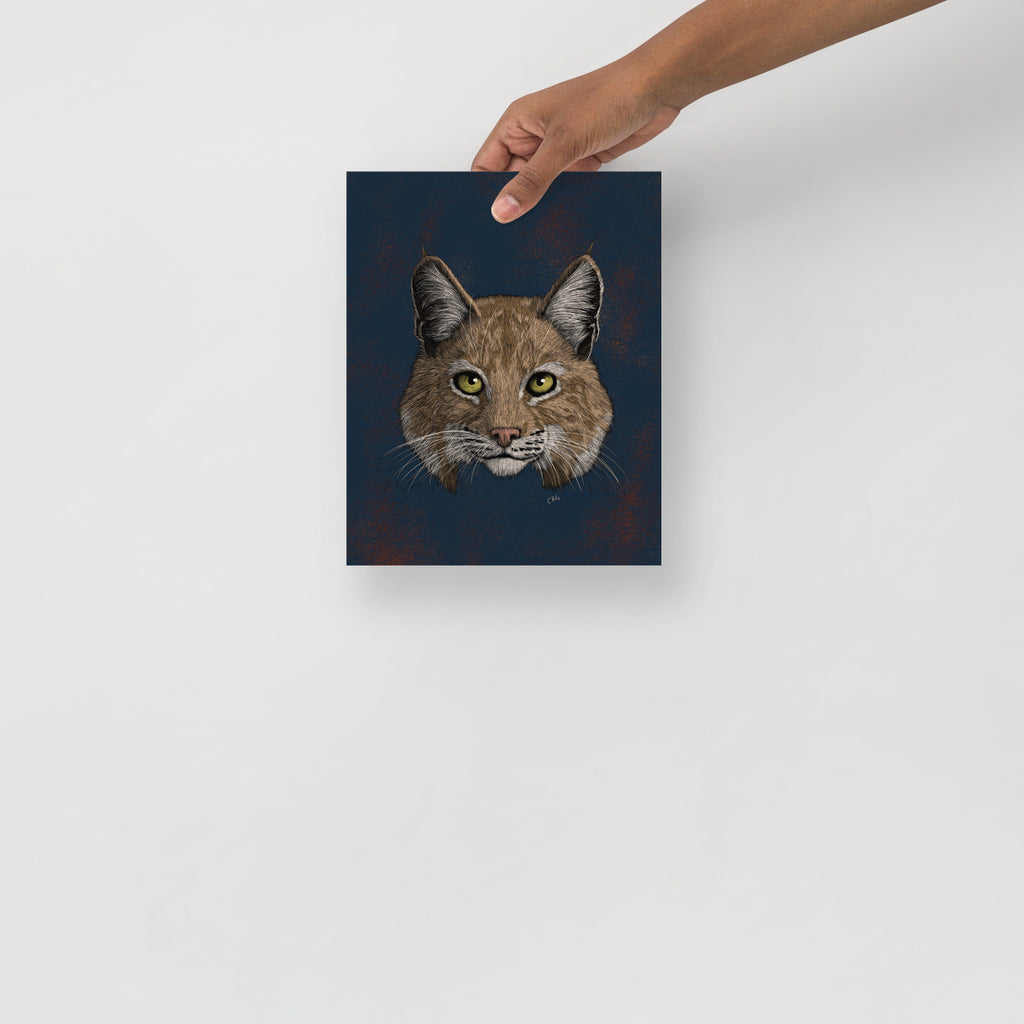 Bobcat Art Print