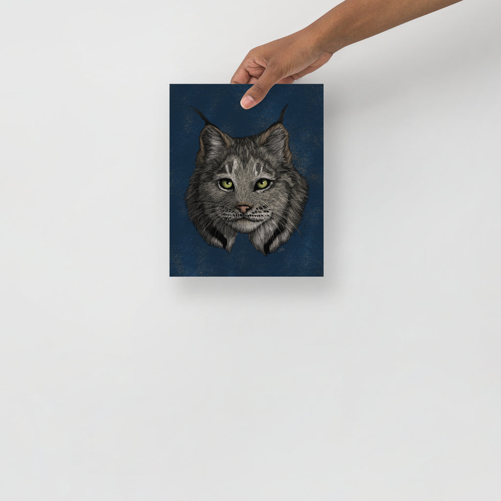 Lynx Art Print