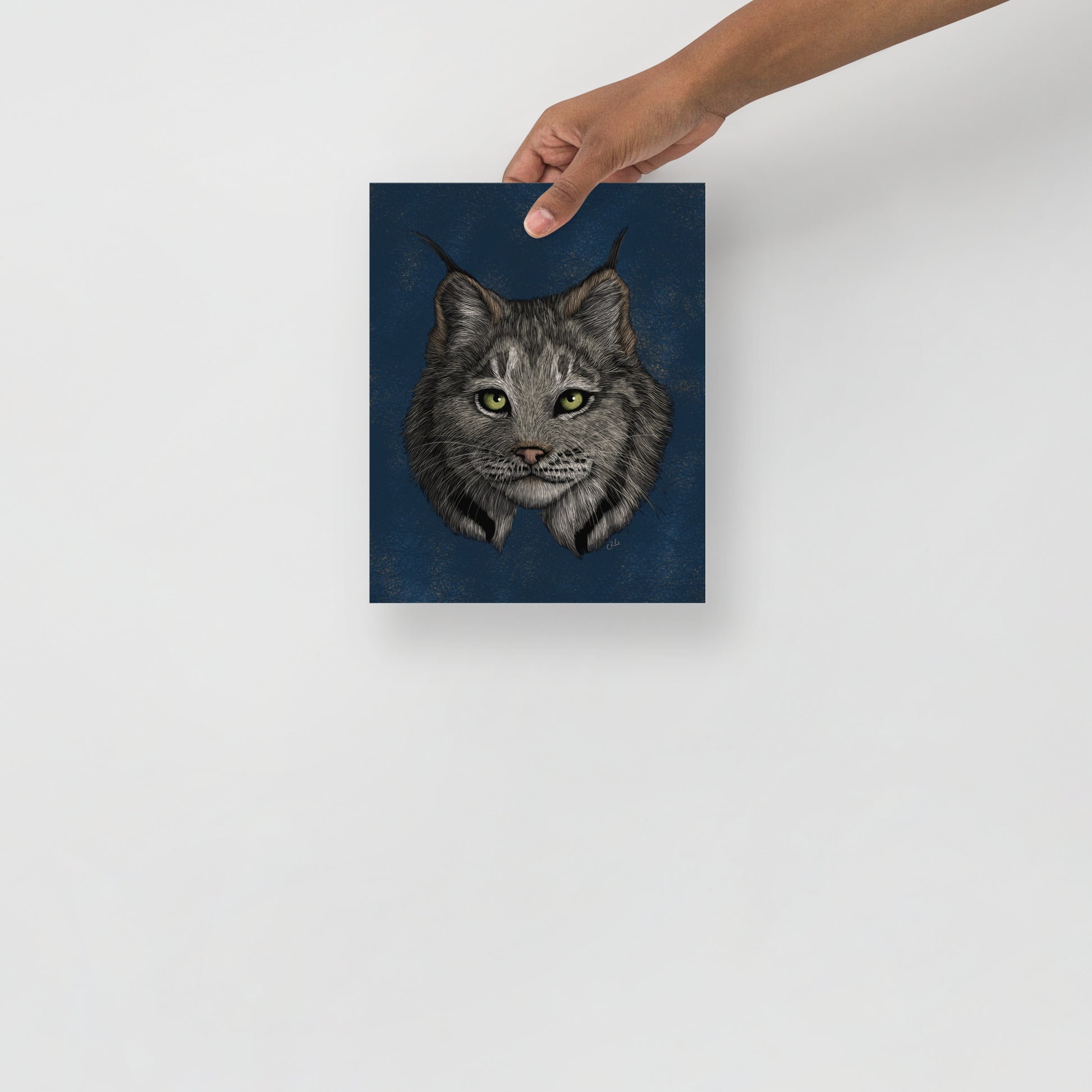Lynx Art Print