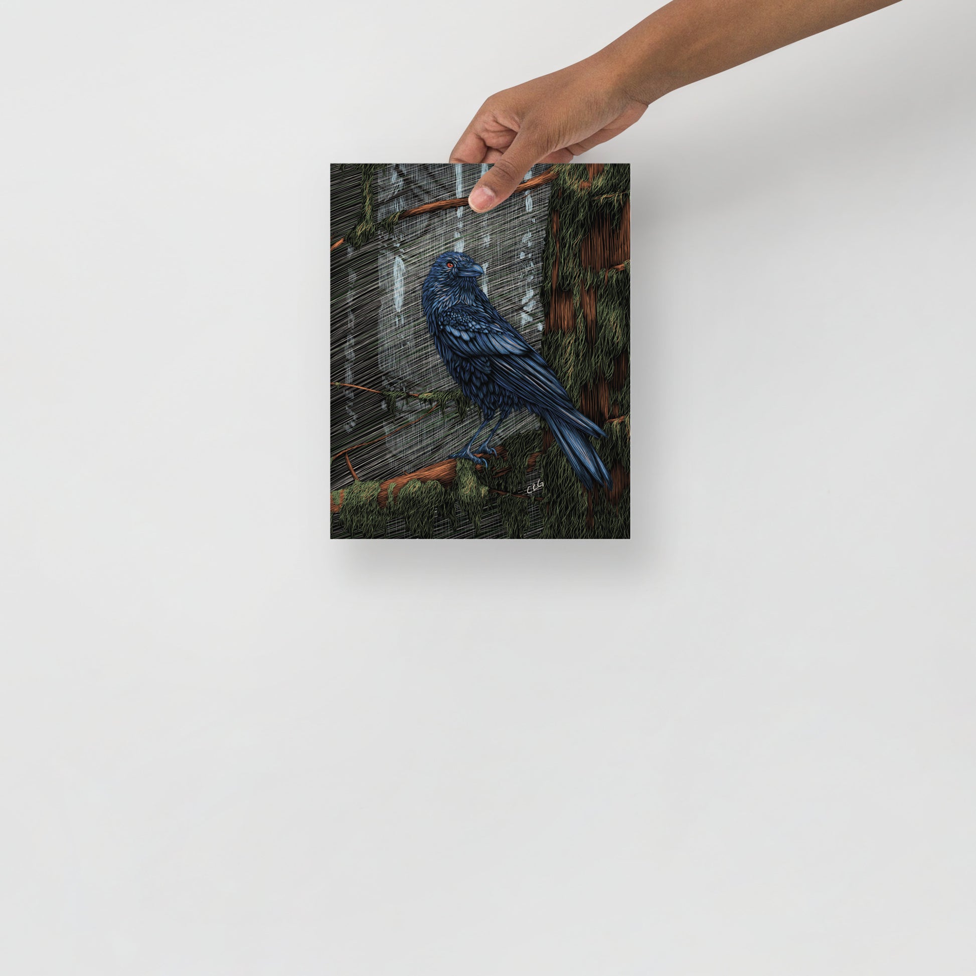 Mysterious Raven Art Print