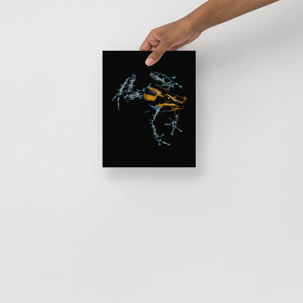 Poison Dart Frog Art Print