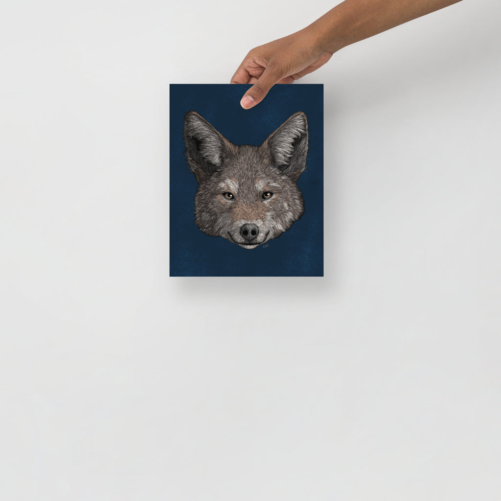 Coyote Art Print