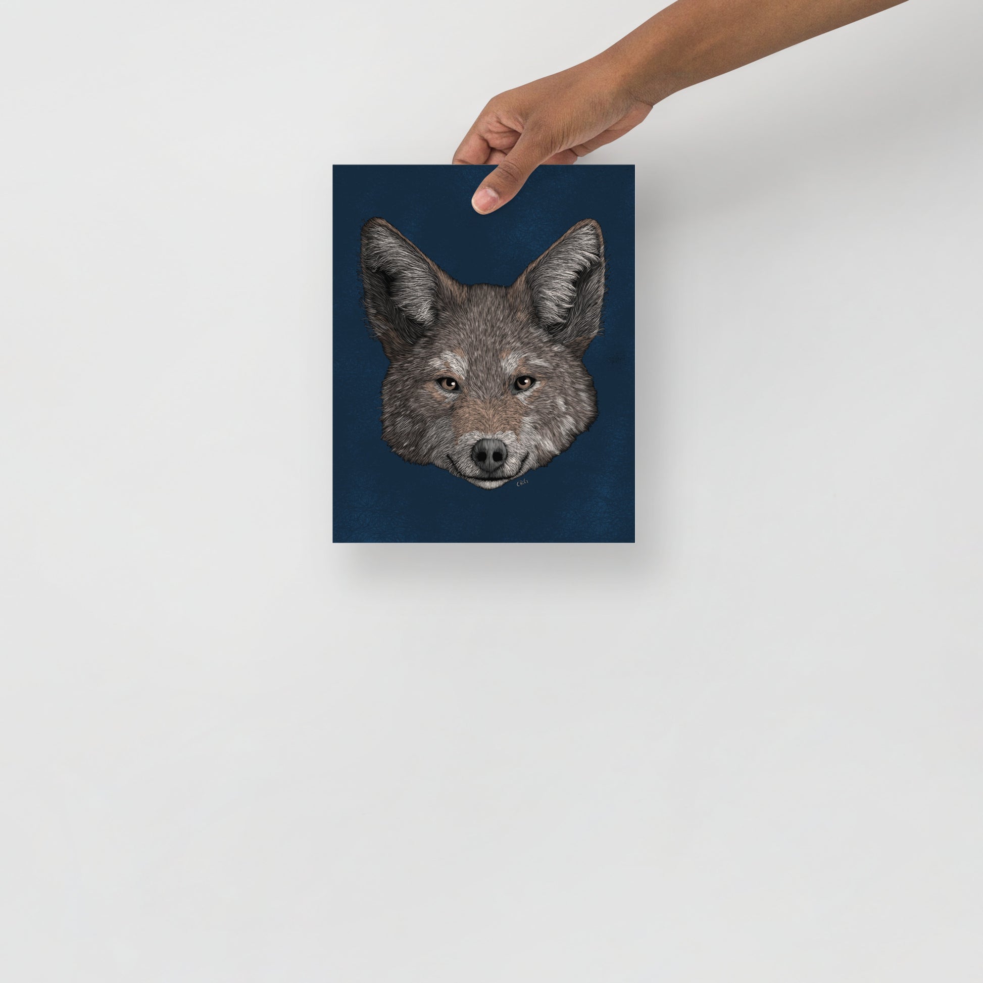 Coyote Art Print