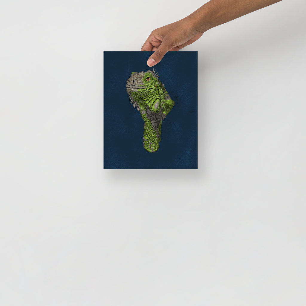 Iguana Art Print