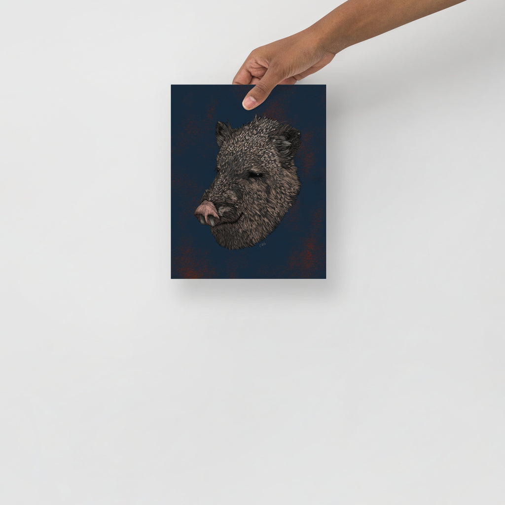 Javelina Art Print