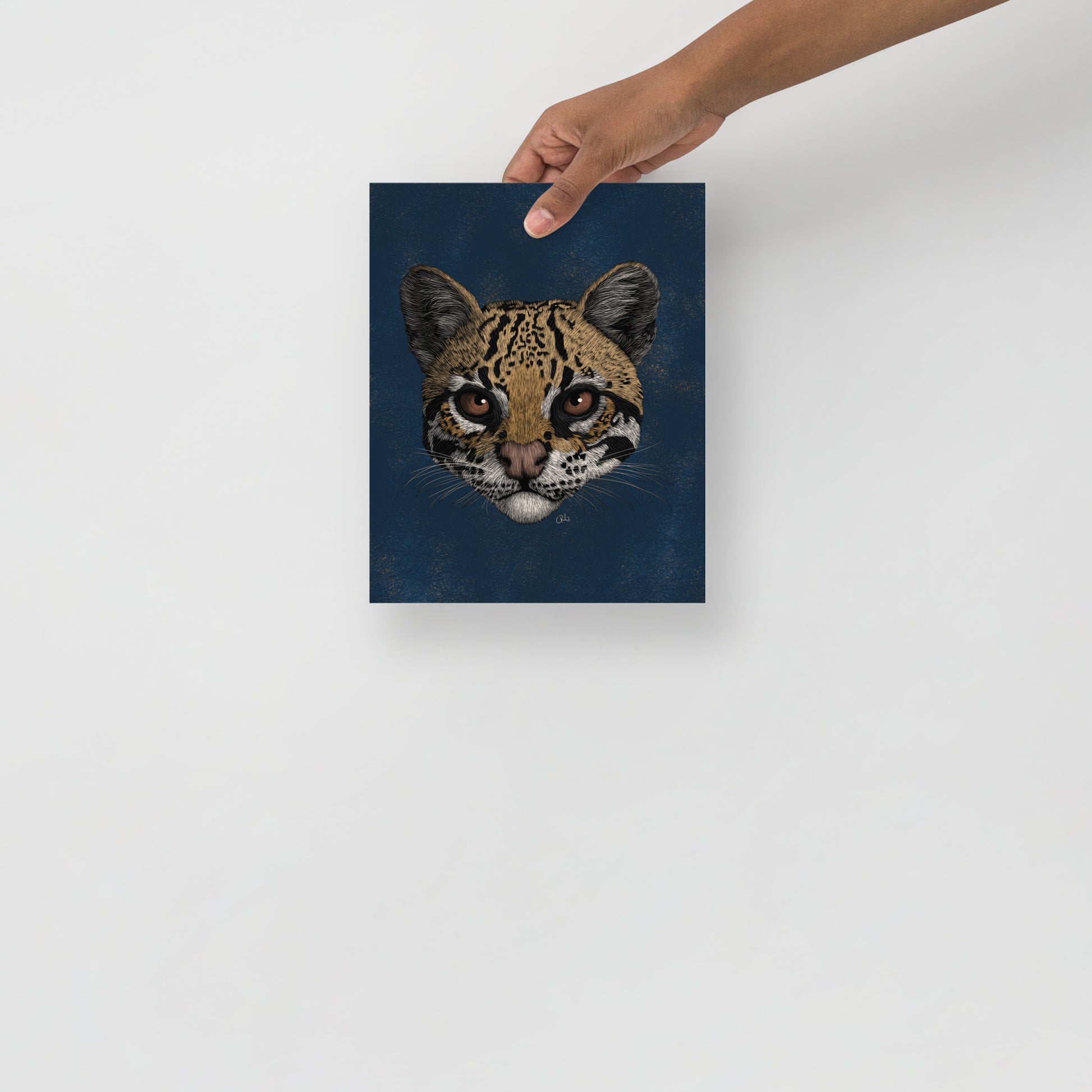 Ocelot Art Print