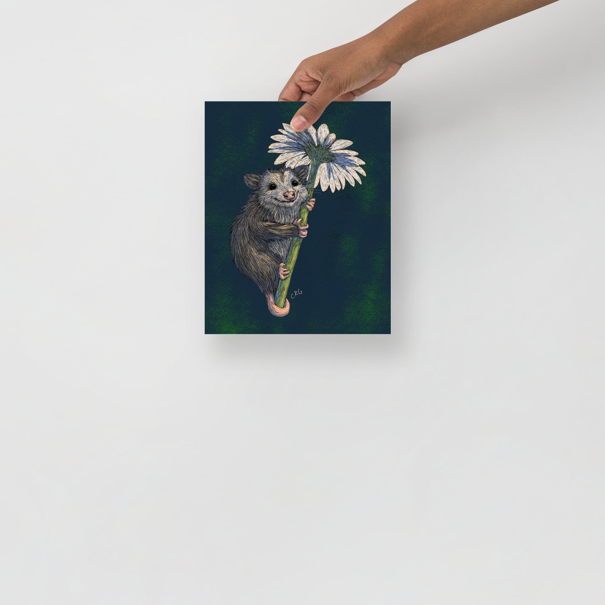 Opossum Hugging Daisy Art Print