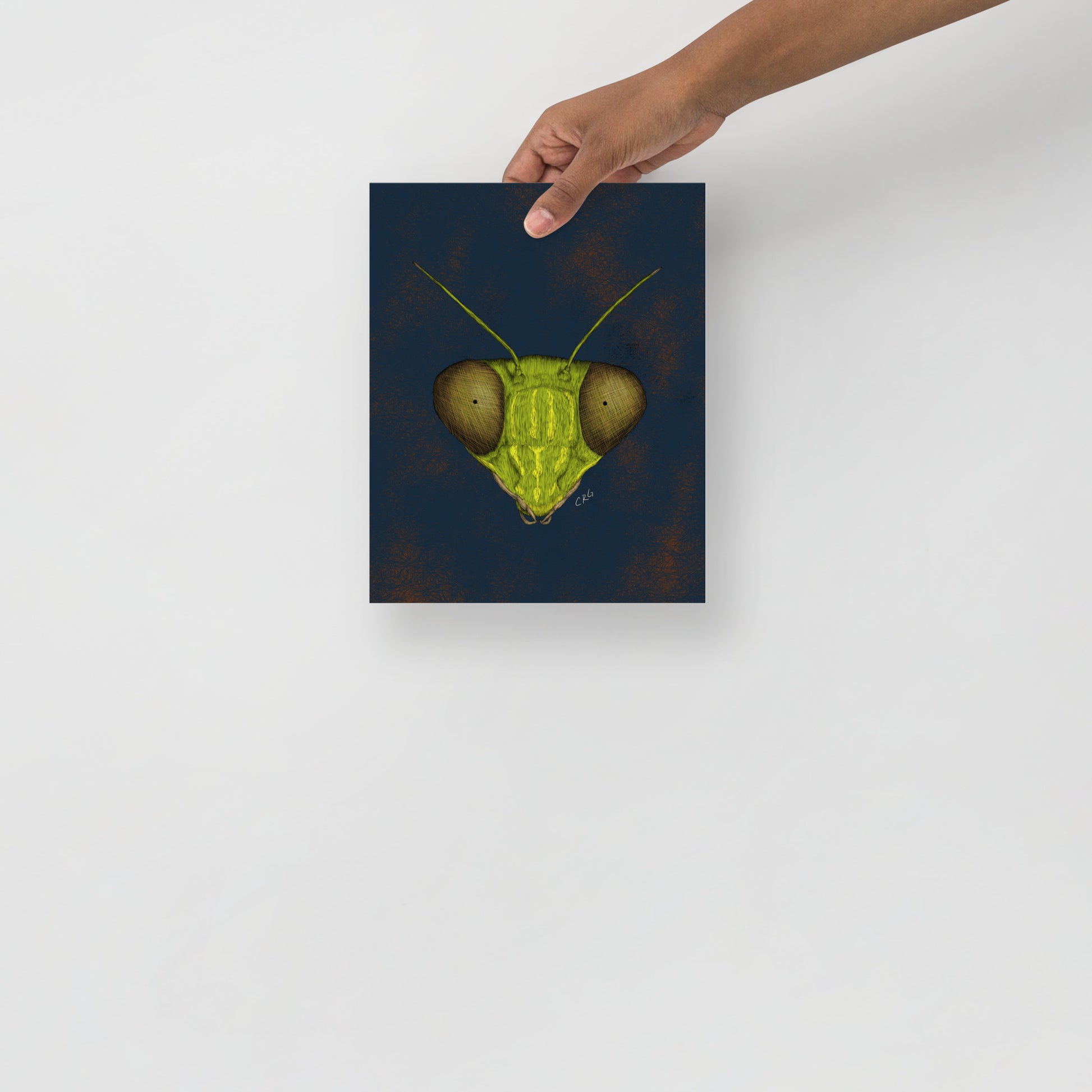 Praying Mantis Art Print