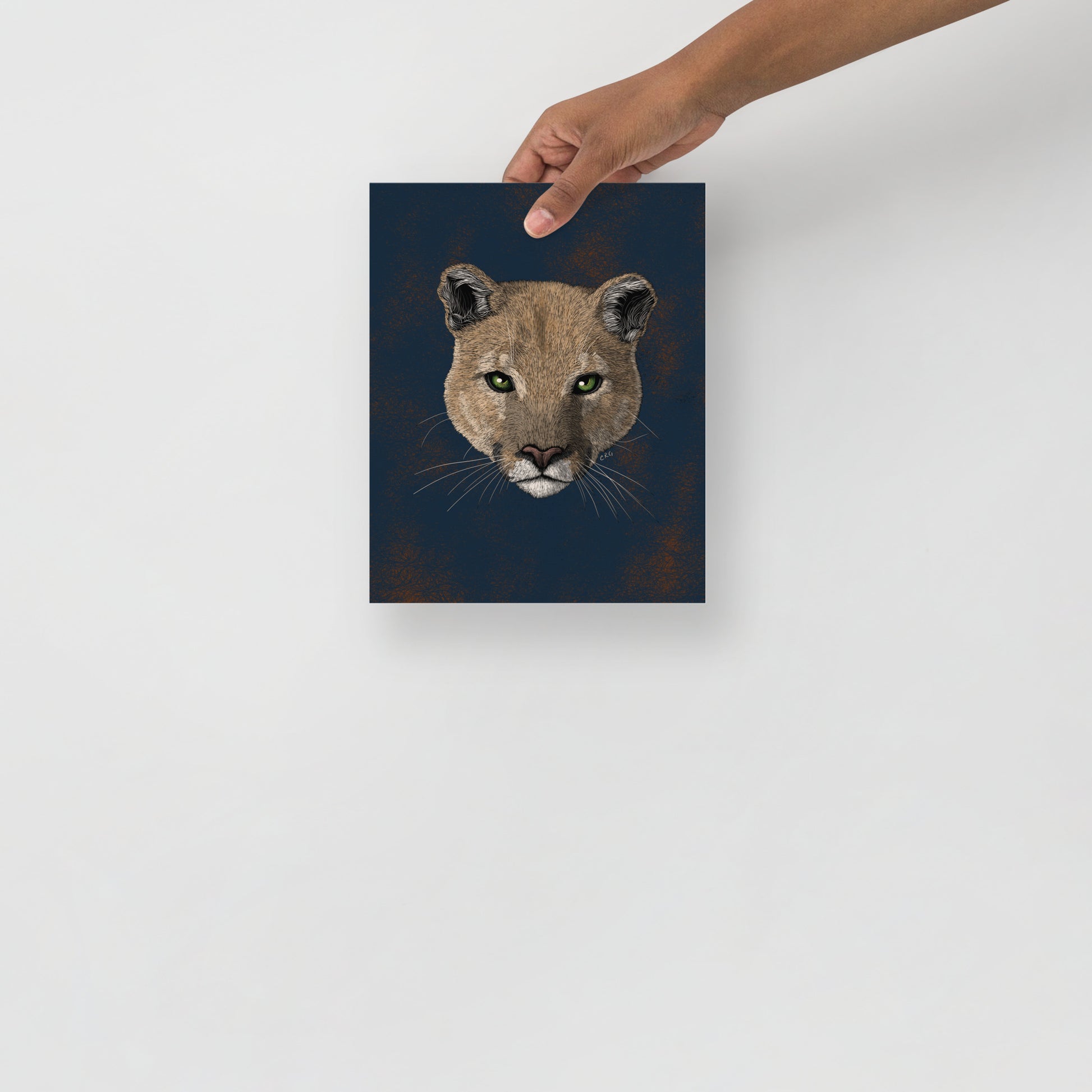 Mountain Lion Art Print
