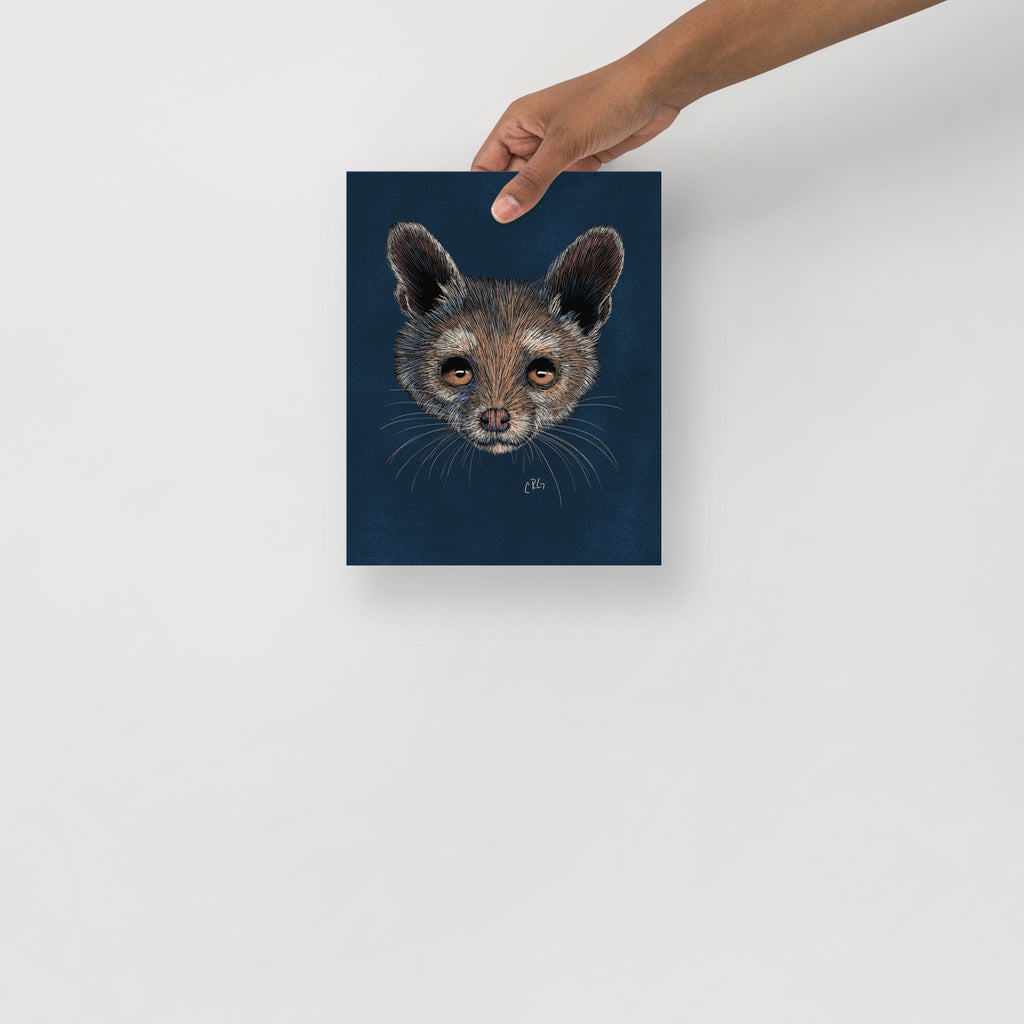 Ringtail Cat Art Print