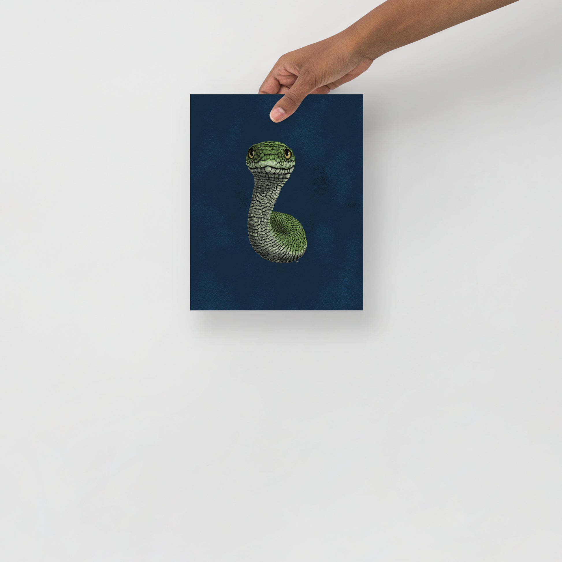 Smooth Green Snake Art Print
