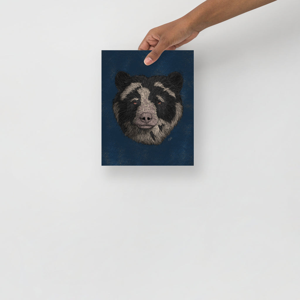 Spectacled Bear Art Print
