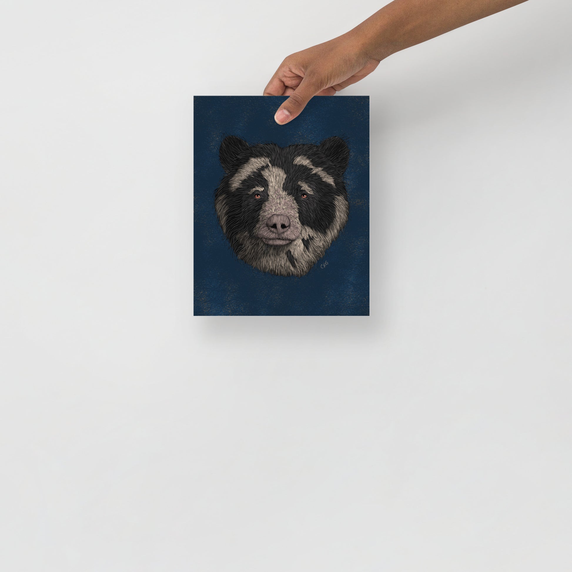 Spectacled Bear Art Print