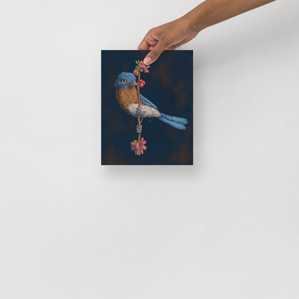 Bluebird Art Print