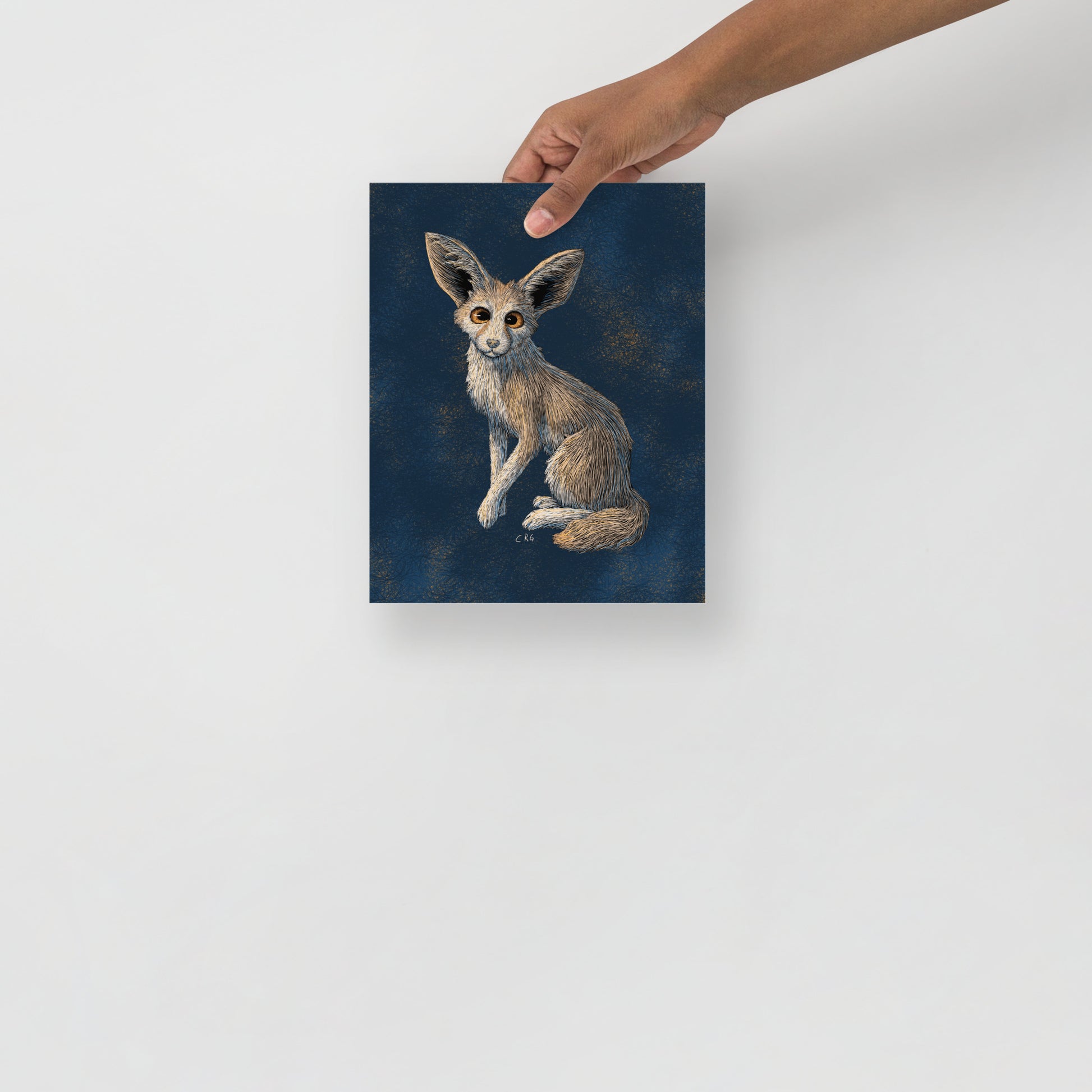 Curious Fennec Fox Art Print