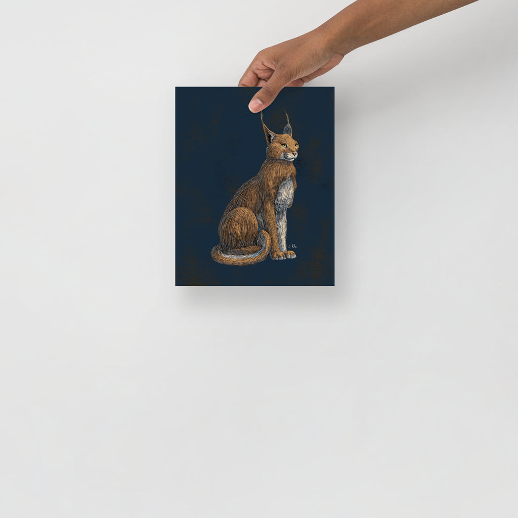 Regal Caracal Art Print