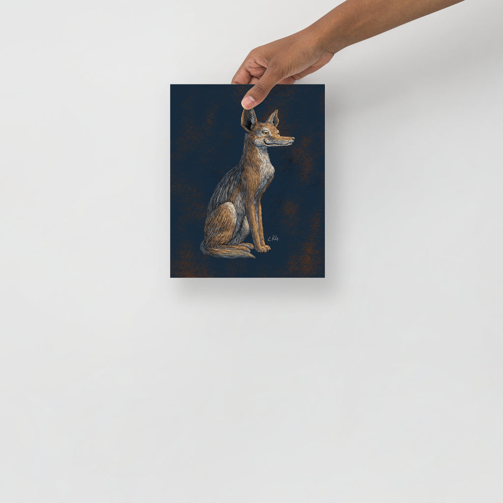 Savvy Jackal Art Print