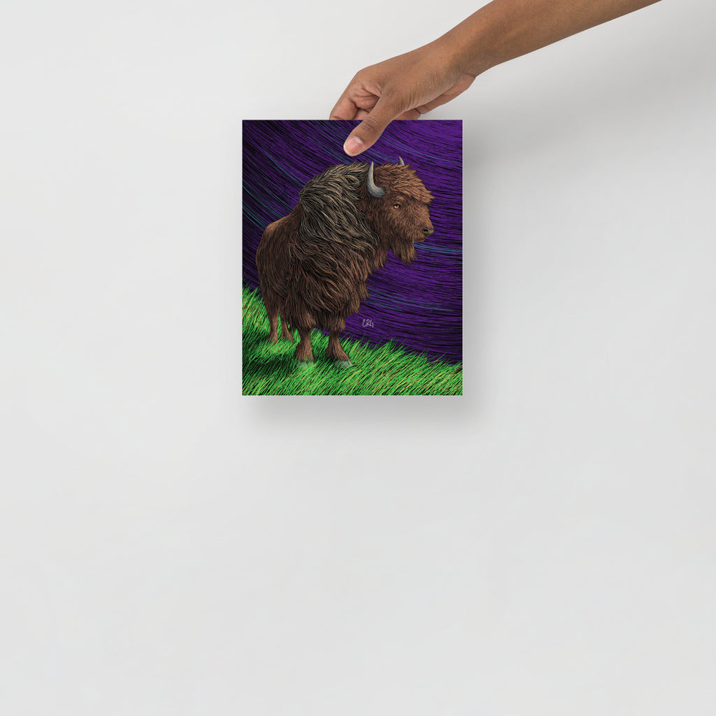 Bison Art Print