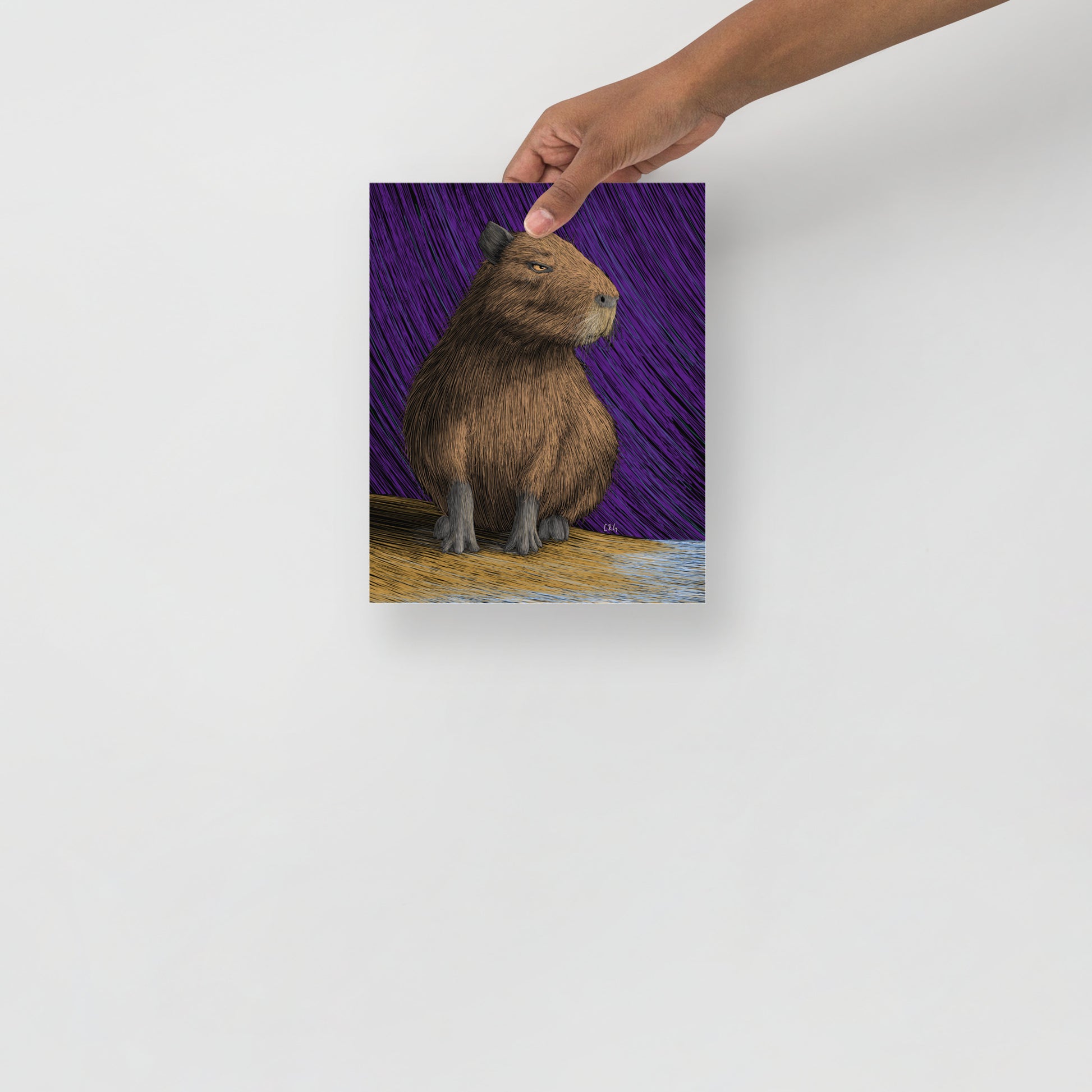 Capybara Art Print